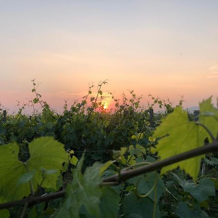 La Corte Del Bona - Vicino Alle Cantine E A Circa 15 Minuti Dal Lago Di Iseo - Leilighet Erbusco Eksteriør bilde