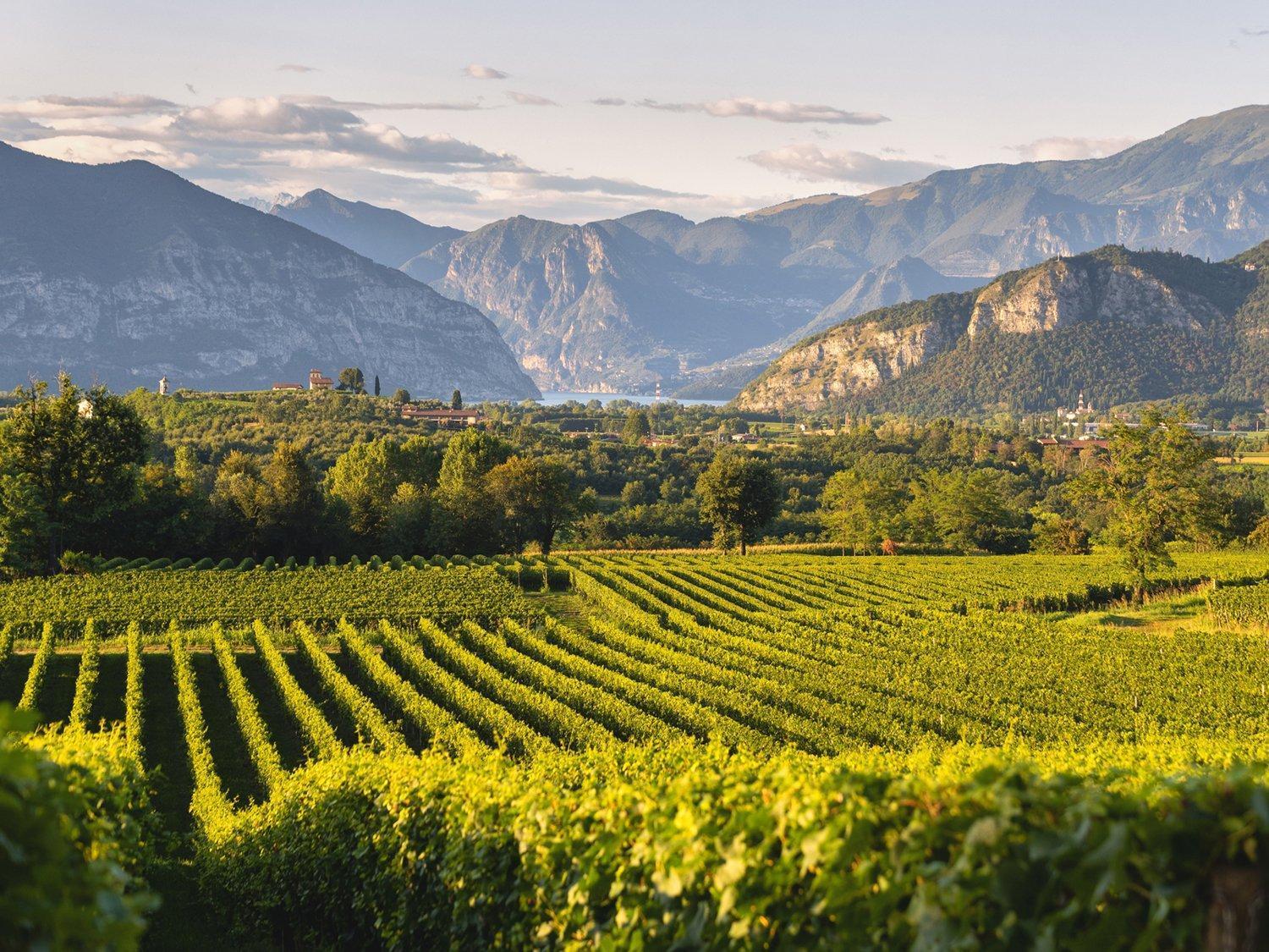 La Corte Del Bona - Vicino Alle Cantine E A Circa 15 Minuti Dal Lago Di Iseo - Leilighet Erbusco Eksteriør bilde
